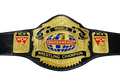 WCW Cruiseweight Championship Replica Title Belt