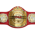 TNA Legends Championship Replica Title