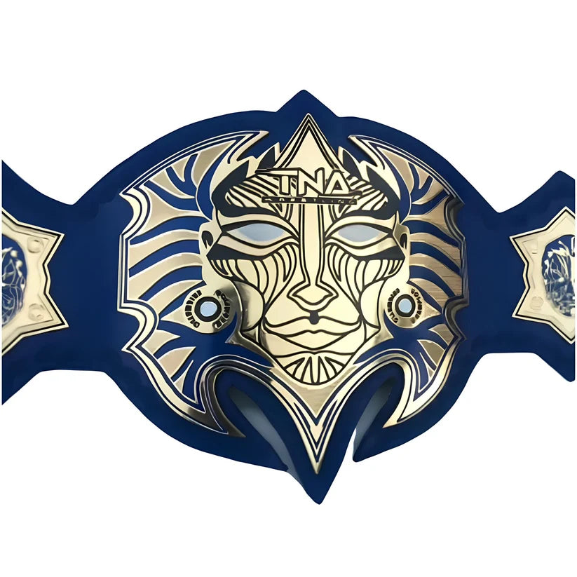 Jeff Hardy TNA World Championship Belt