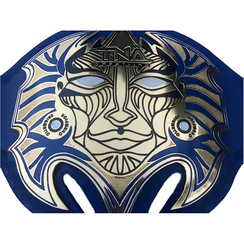Jeff Hardy TNA World Championship Belt