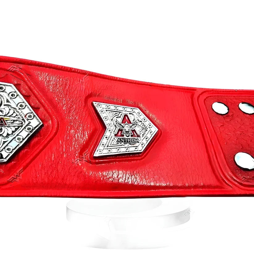 TNA Tag Teams Heavy Championship Replica Title Belt