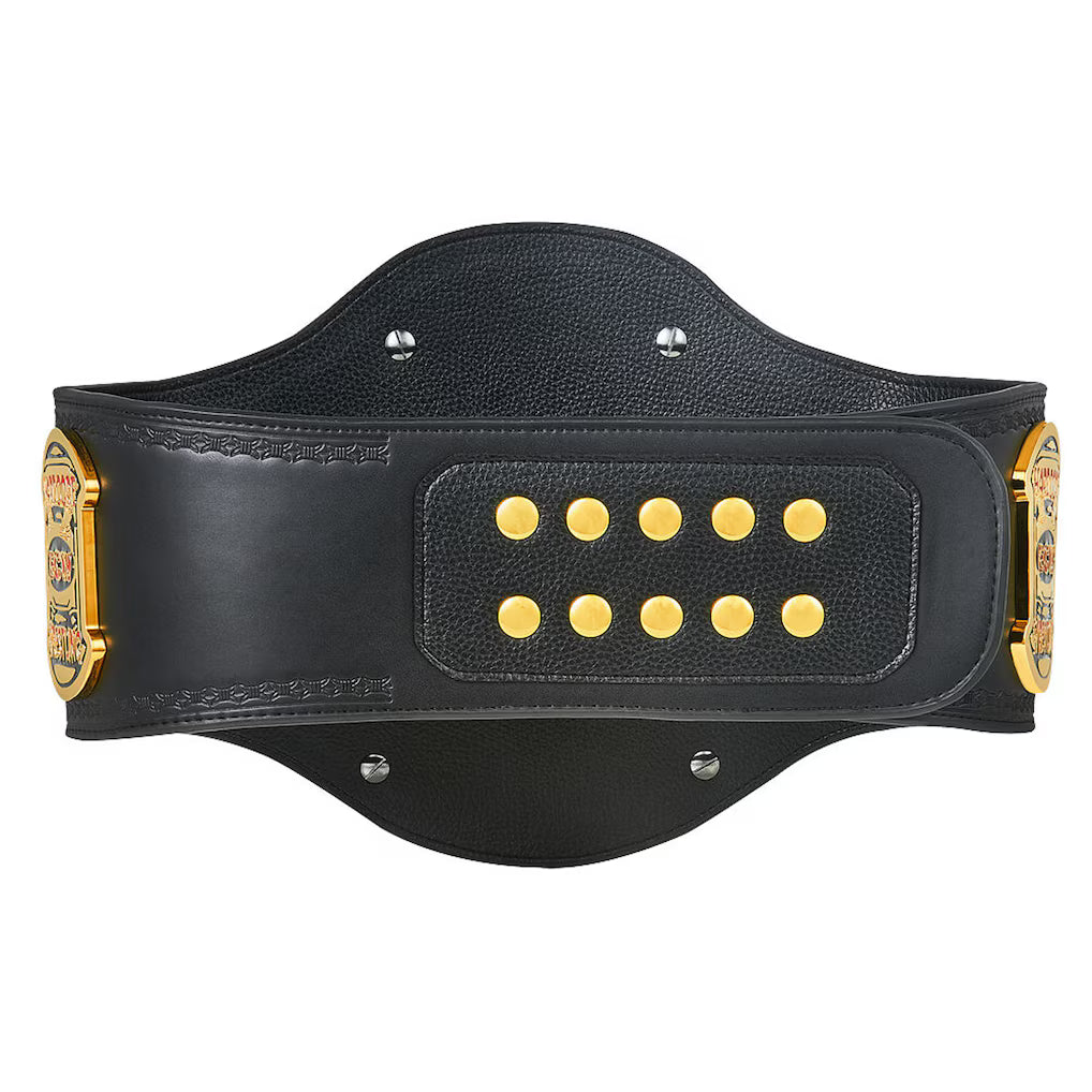 ECW World Heavyweight Wrestling Championship Title Belt