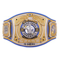 John Cena Farewell Tour 2025 Money In The Bank Los Angeles Spinner Championship Replica Title Belt