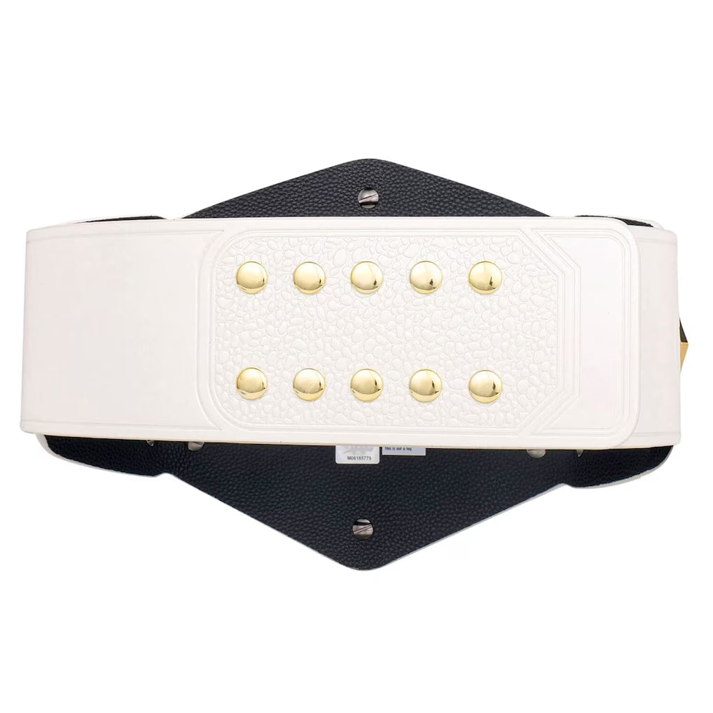 NXT Women's Tag Team Championship Replica Title