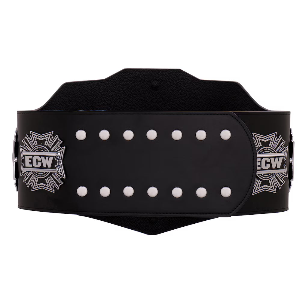 ECW Championship 2008 Replica Title Belt