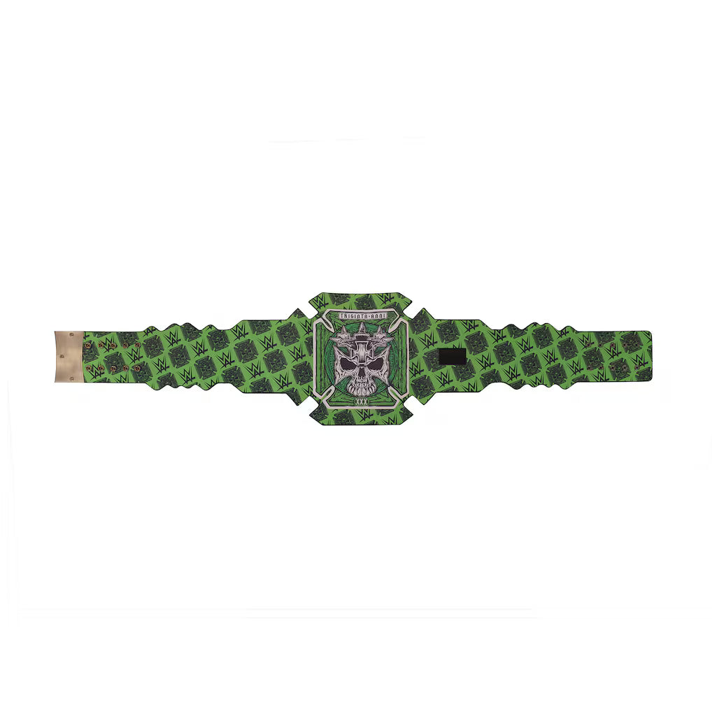 Triple H 30 Years The Game Attitude Era Signature Series Title Belt